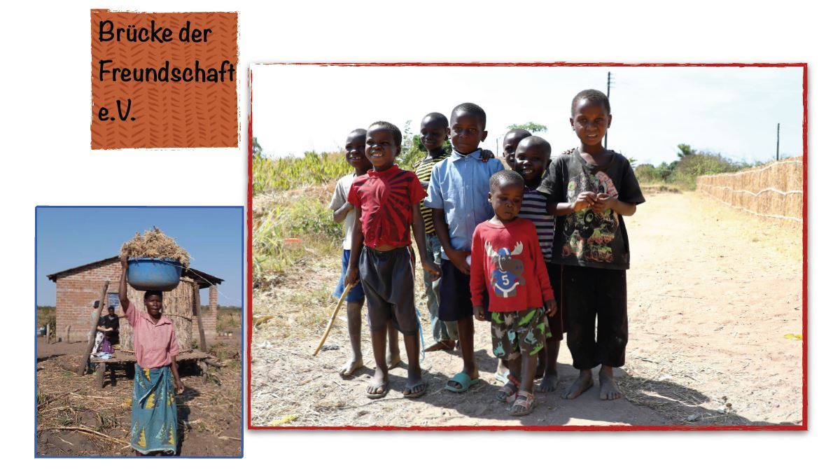 Jahresbericht BDF 2025